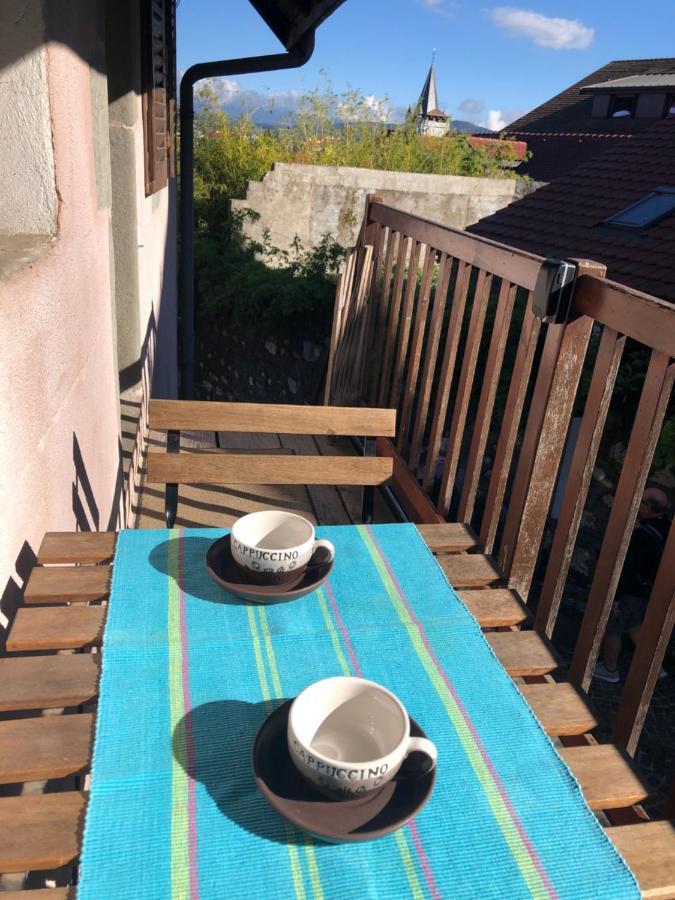Appartement Dans La Vieille Ville, En Face Du Chateau Άννεσι Εξωτερικό φωτογραφία
